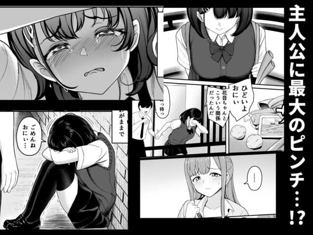 お家ハーレム!? Sっ気の義妹とMっ気の幼馴染!の公式安全プレビュー (海外サイトより安心なサンプル) No.10)